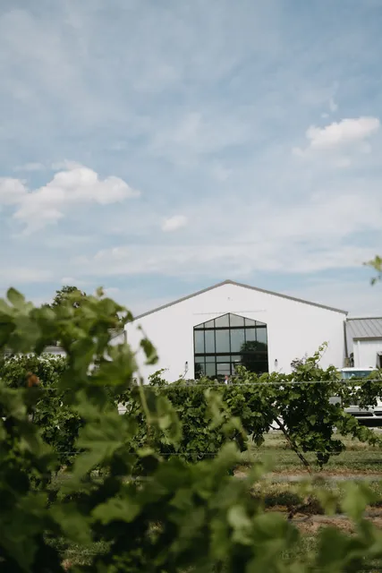 Prairie Hill Vineyard