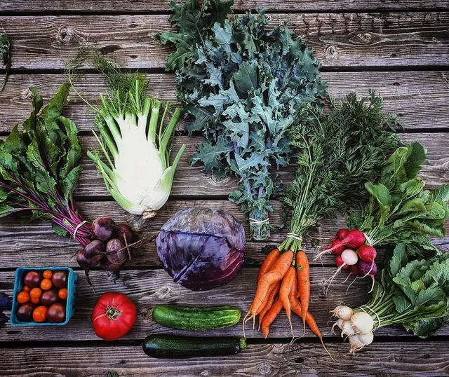 Fern Co. Vegetable Farm & CSA