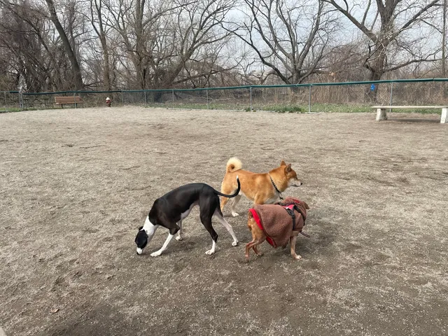 Overpeck Dog Park