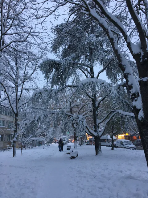 Çöpçatan Çöpşiş