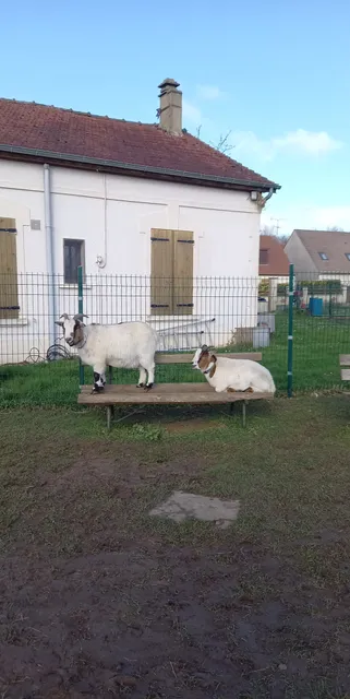 La Ferme pédagogique d'animation du Larris