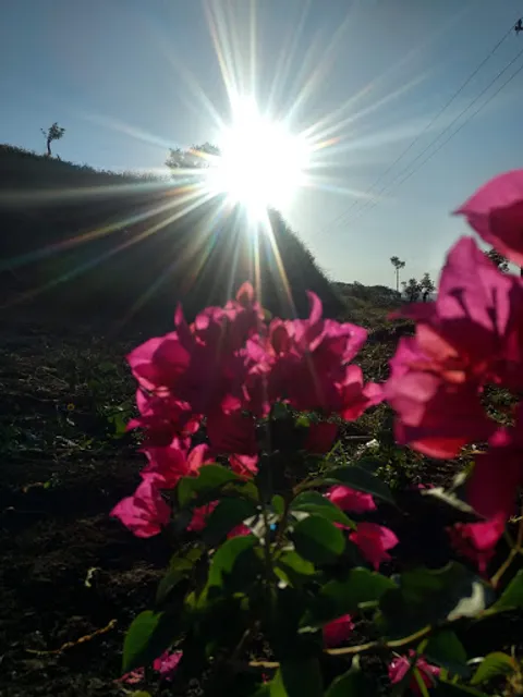 Recreativo El Artillero