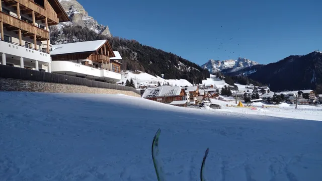 Michi's Appartementhaus