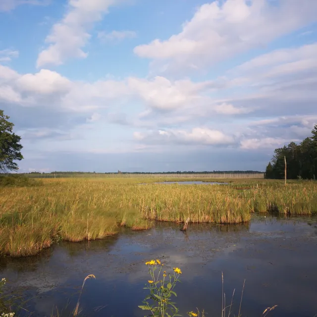 Walker Ranger Station | Chippewa National Forest