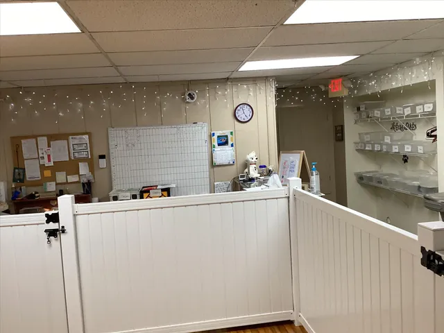 All Fur Fun Dog Care, LLC