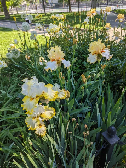 Pershing Field Tennis Courts