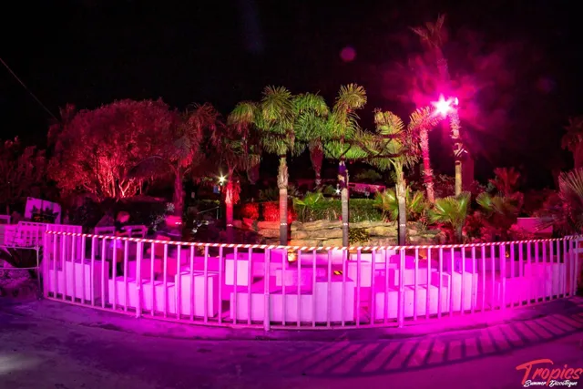 Tropics Summer Discotheque