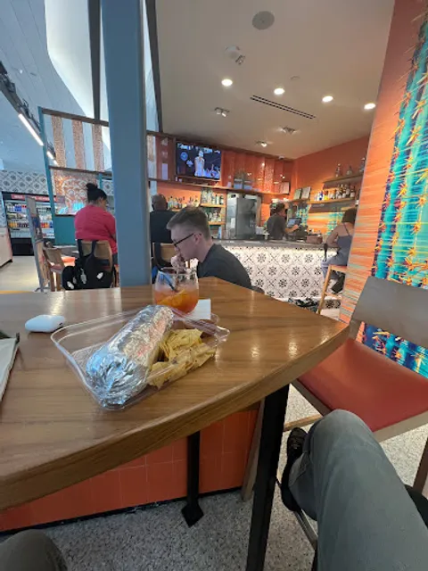 The Little Chihuahua