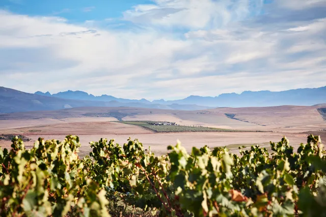 Gabrielskloof Wine Estate