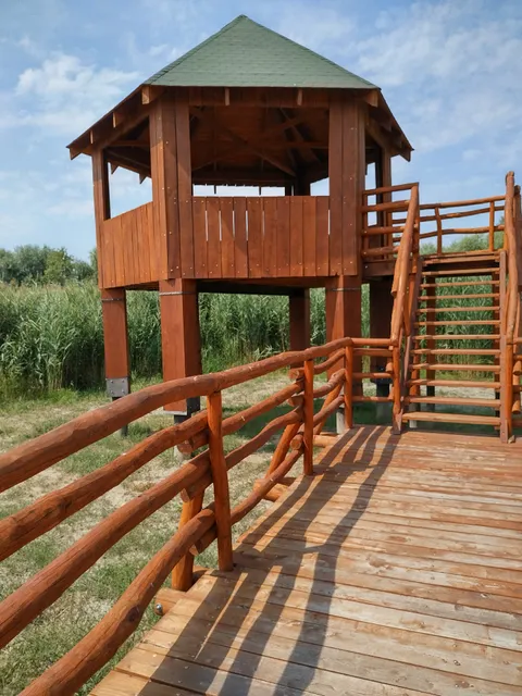 Tiszakécskei Nádirigó Tanösvény