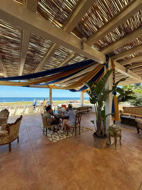 IL circo delle coronarie