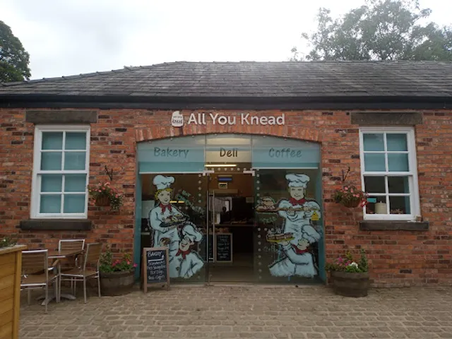 All You Knead Café & Bakery