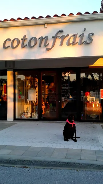 coton frais