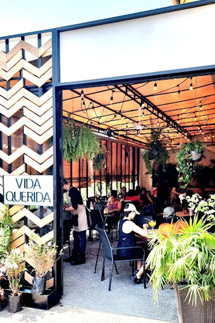 Vida Querida by Deliyuz