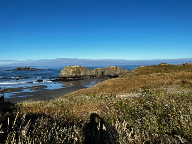 Oregon Islands National Wildlife Refuge - Coquille Point
