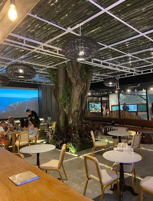 Lava Gastrobar & Grill