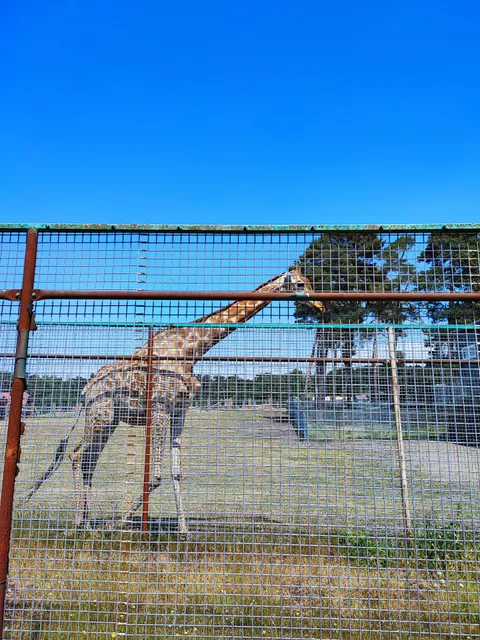 Safariland Stukenbrock Erlebnisresort