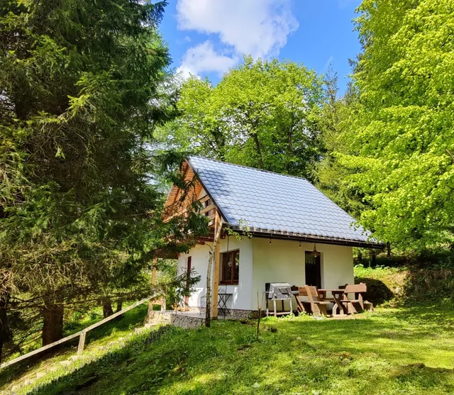 Chatka Pod Trohańcem - Domek w Bieszczadach Bieszczady noclegi