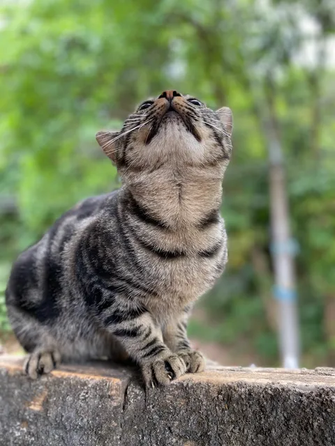 Rede De Supermercados Valor - Mendes E Silva