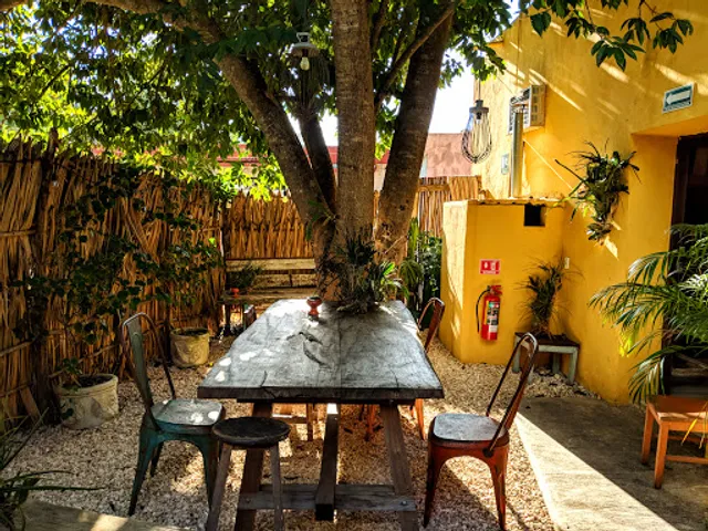 Tresvanbien (Empanadas Argentinas & Homebrewed Kombucha)