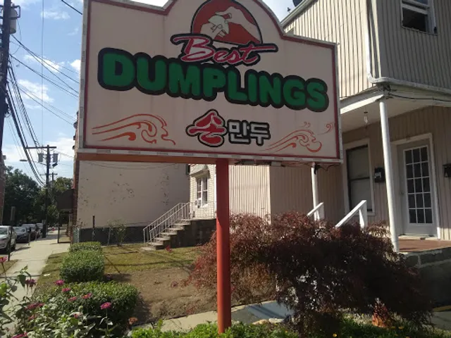 Best Dumplings