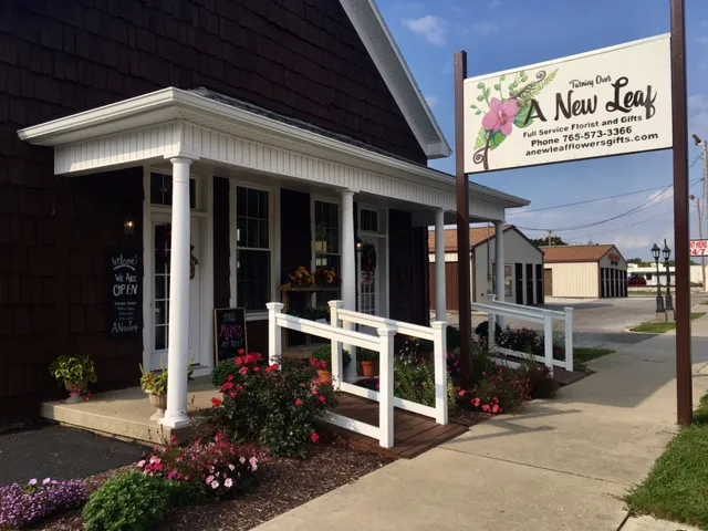 Turning Over A New Leaf Flowers & Gifts