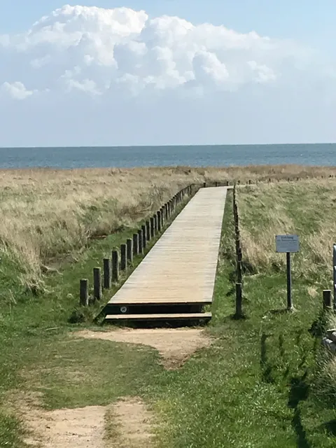 Waterküken - Matthias Haase