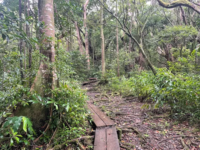 Nu’uanu Trail