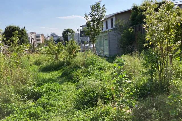 世田谷区立 シモキタのはら広場