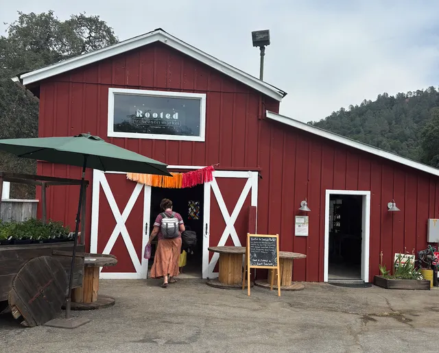 Rooted In Season Market