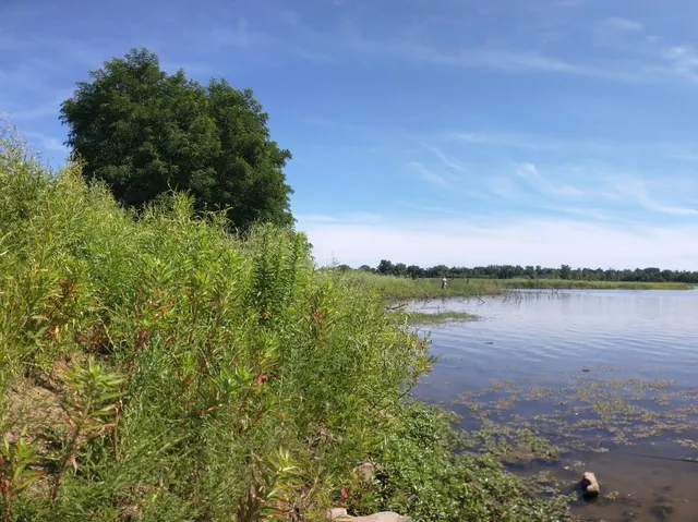 Terry Trueblood Recreation Area