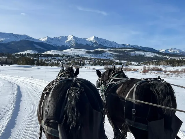 Breckenridge Stables Sleigh Rides