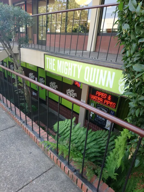 The Mighty Quinn Smoke/Vape Shop and Glass Gallery