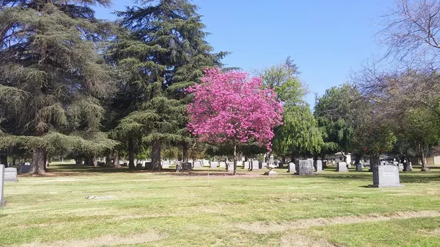 Mountain View Mortuary & Cemetery