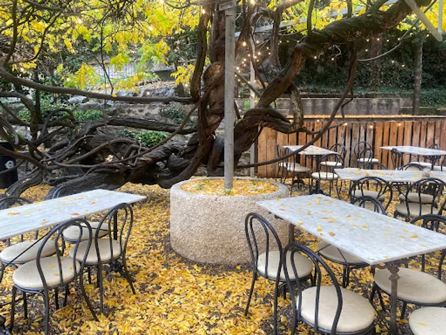 El Casino de Borgonyà