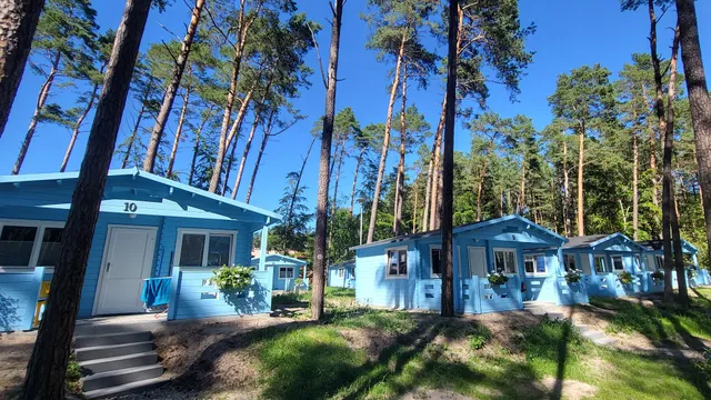 Stegna Domki Greckie Zeus