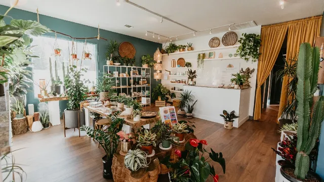 THE SUNROOM - Massage & House Plants