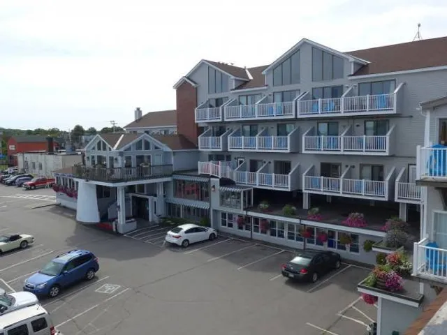 Trade Winds on the Bay