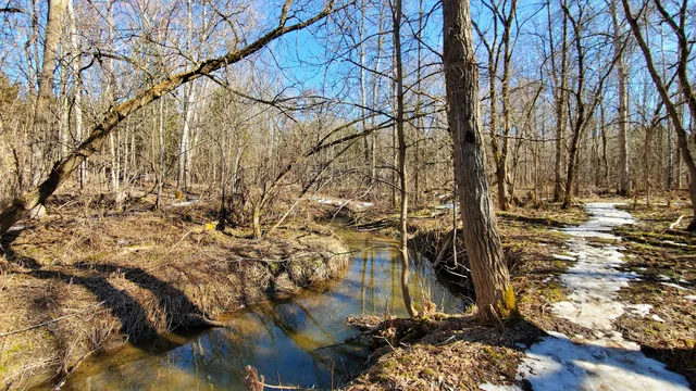 Cawthra Mulock Nature Reserve