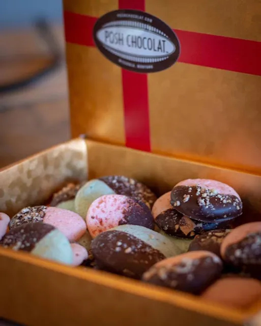 Posh Chocolat