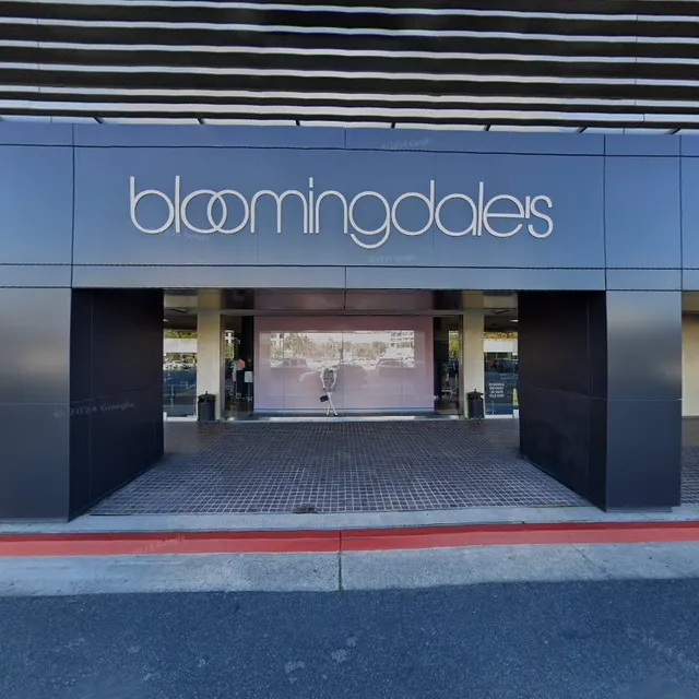 Bloomingdale's Handbags