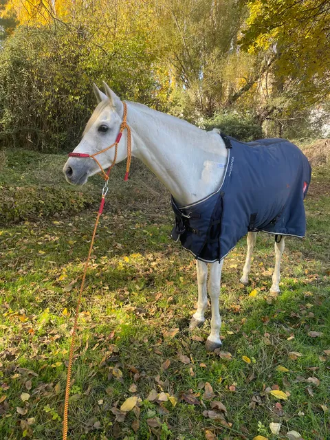 Raid Hípico de Ademuz