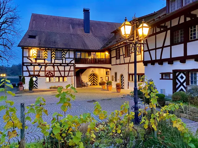 Hotel und Restaurant Alte Rheinmühle
