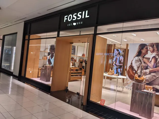 Fossil Store
