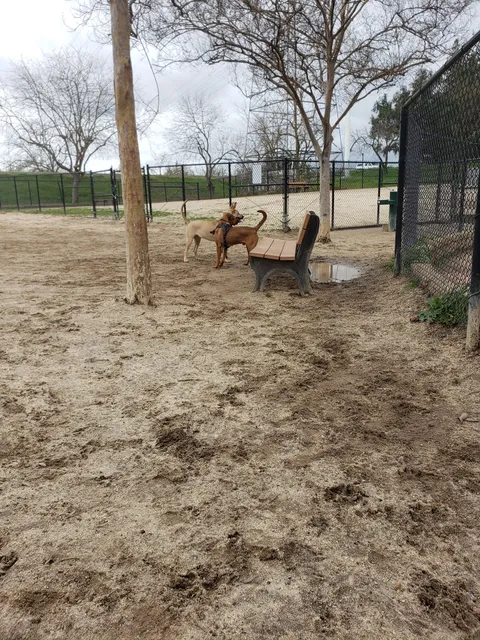 University Park Dog Park