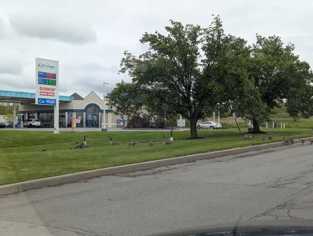 Genesee Valley Shopping Center