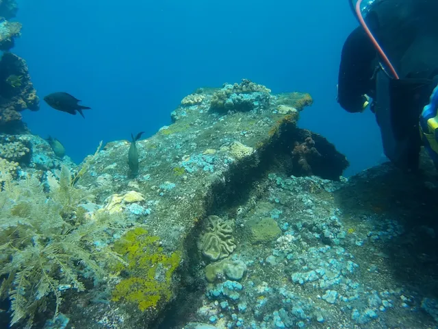 Liberty Wreck Dive