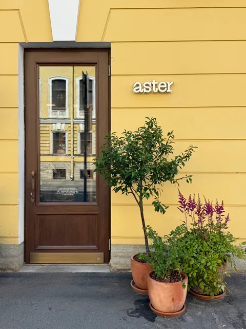 Aster