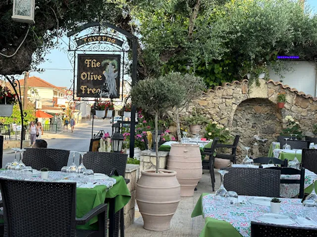 The Olive Tree