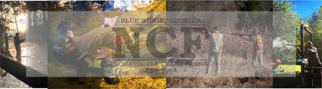 Noontootla Creek Farms